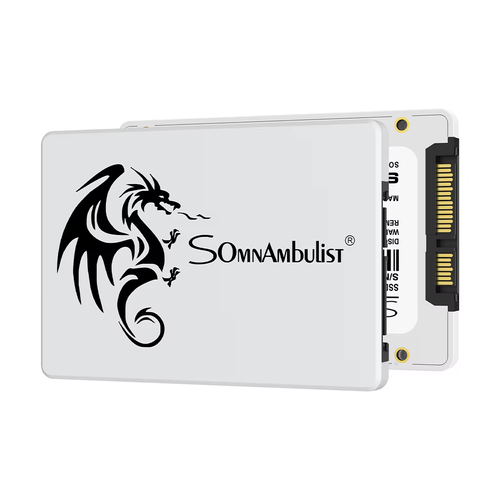 SomnAmbulist SSD 2.5 64GB 128GB 256GB 512GB pour ordinateur portable de bureau disque SSD Sata3 120G