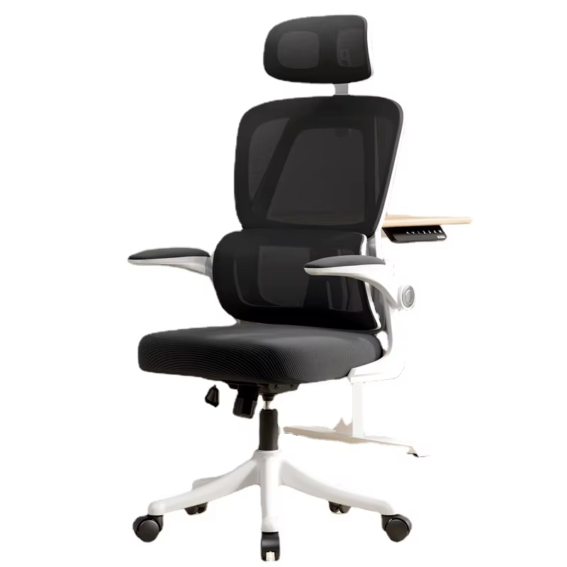 Chaise de bureau ergonomique, chaise de bureau confortable pour étudiants avec Support dorsal, chais