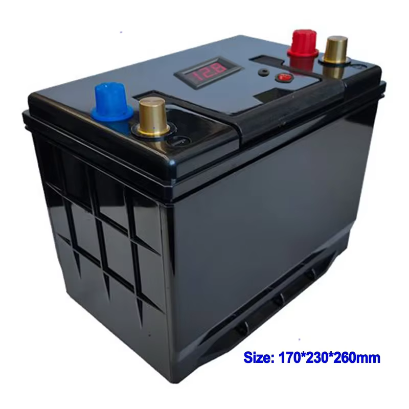 Batterie de camping en plein air Portable 12V 90AhLifepo4 avec étui BMS USB lumière LED application domestique + chargeur 10A
