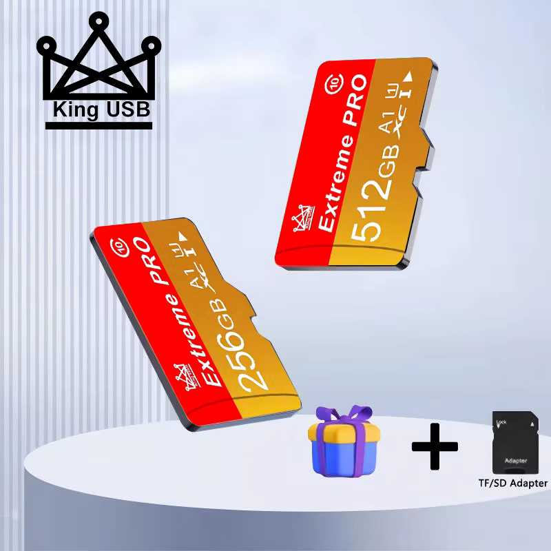 La carte Micro TF/SD de 4 Go