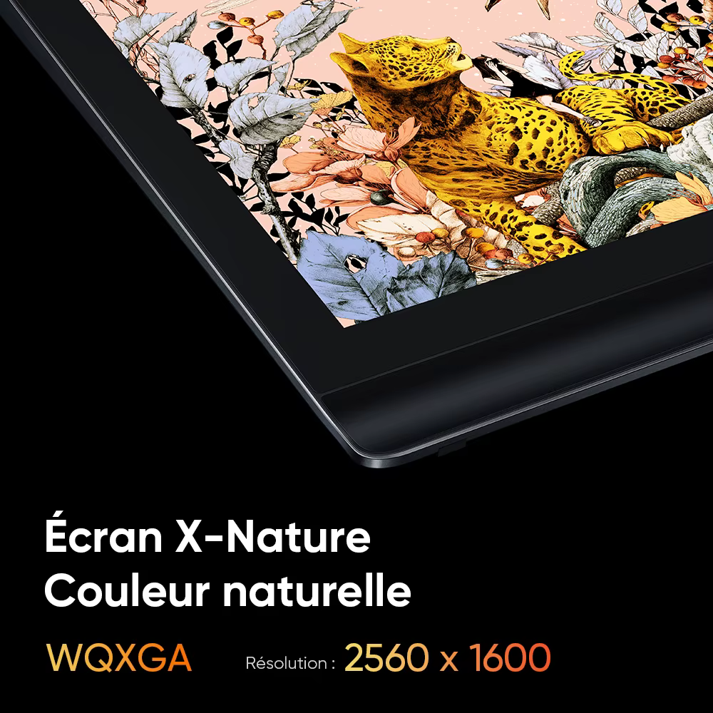 Tablette graphique XPPen Artist Pro 16 (Gen 2) avec écran de dessin de 16 pouces