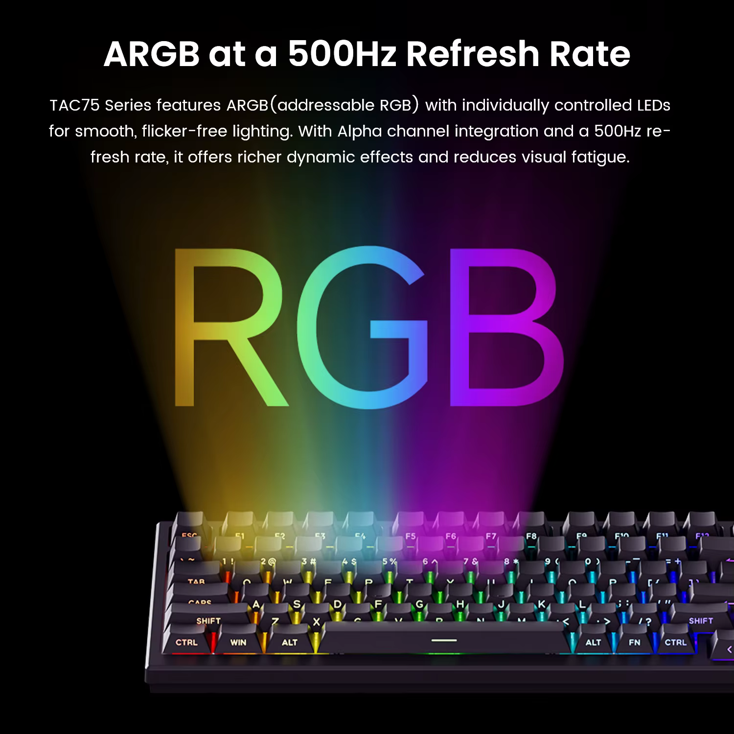 AKKO TAC75 HE clavier à interrupteur magnétique 75% claviers de jeu déclencheur rapide 0.005mm 8K RGB filaire Esports
