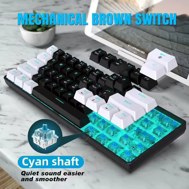 Clavier mécanique 60%