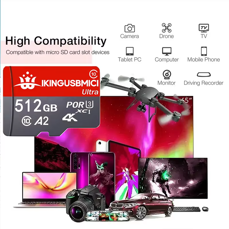 Carte mémoire Micro SD