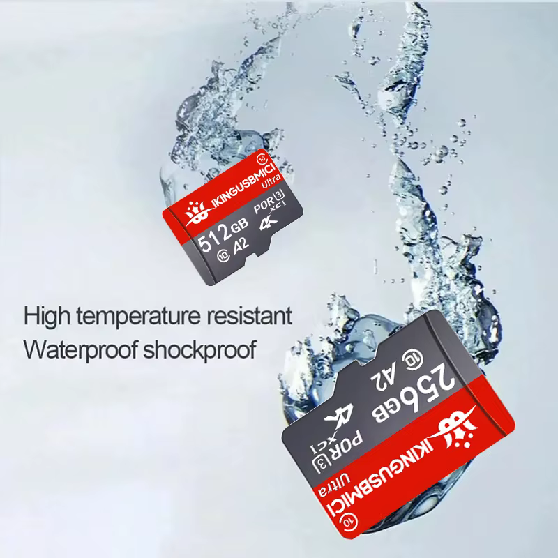 Carte mémoire Micro SD