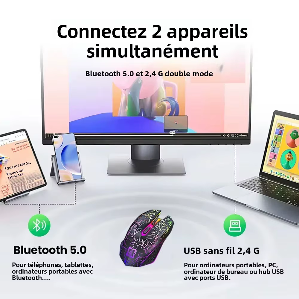 Souris sans fil Bluetooth 5.2 RGB 2.4G